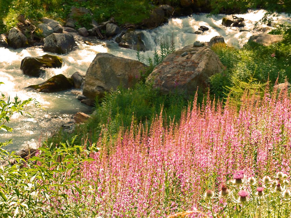 Engadin2015 060