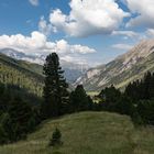 Engadina (3)