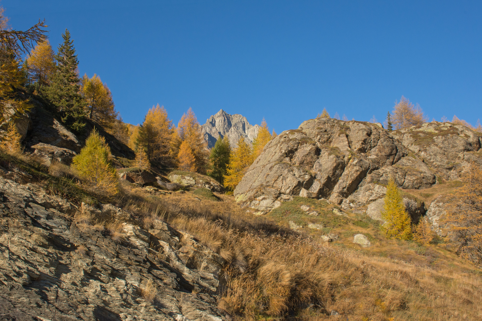  Engadiner Herbstsonntag