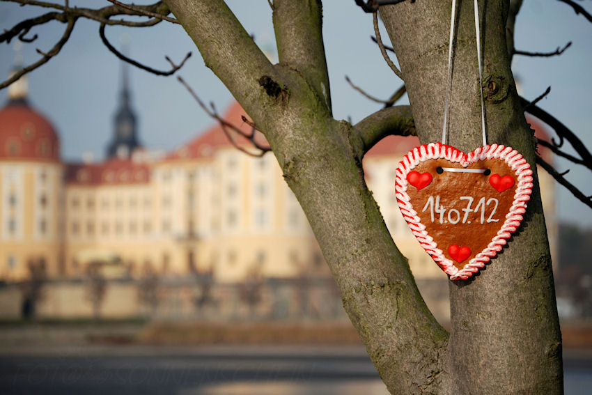 Engagementshooting