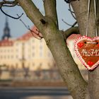 Engagementshooting