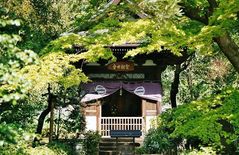 Engakuji Tempel in Kamakura