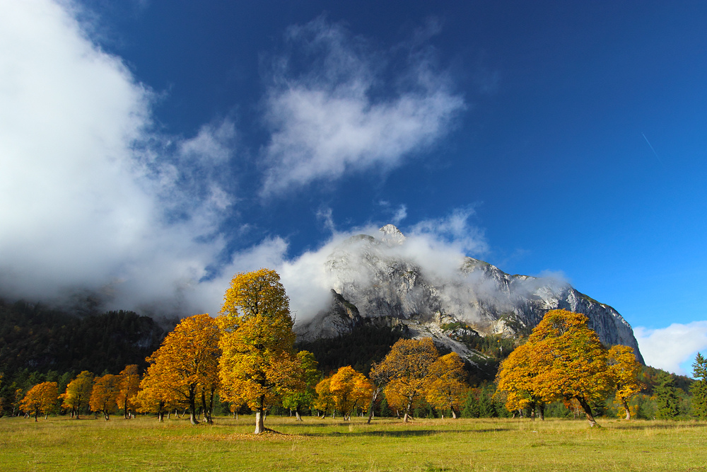 Engalm im Karwendel