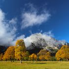 Engalm im Karwendel