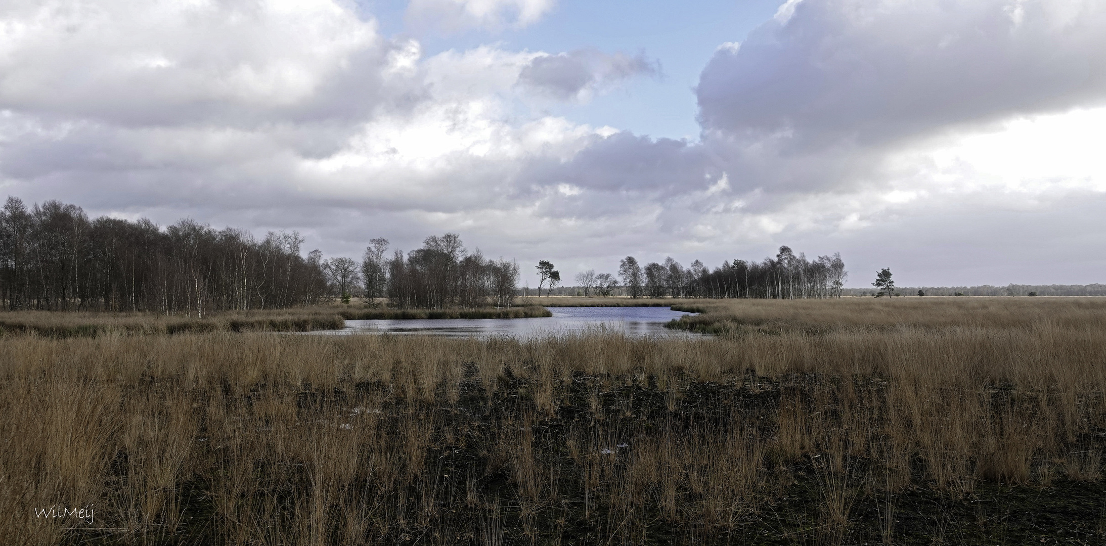 _Engbertsdijksvenen bei Kloosterhaar in den Niederlanden