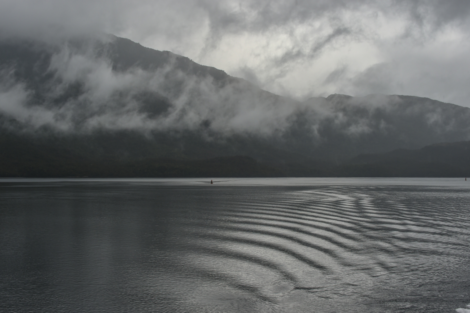 Enge Fjorde                                    DSC_5876-2