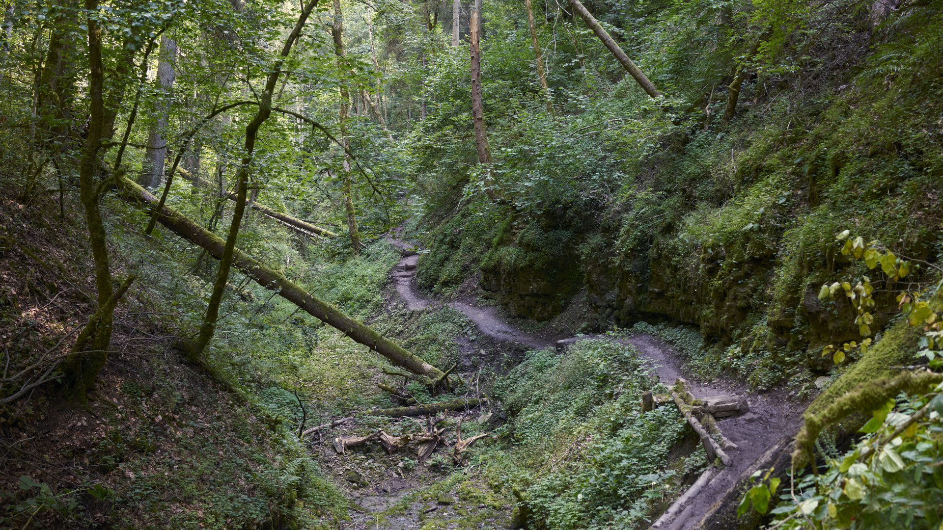 Enge Schlucht