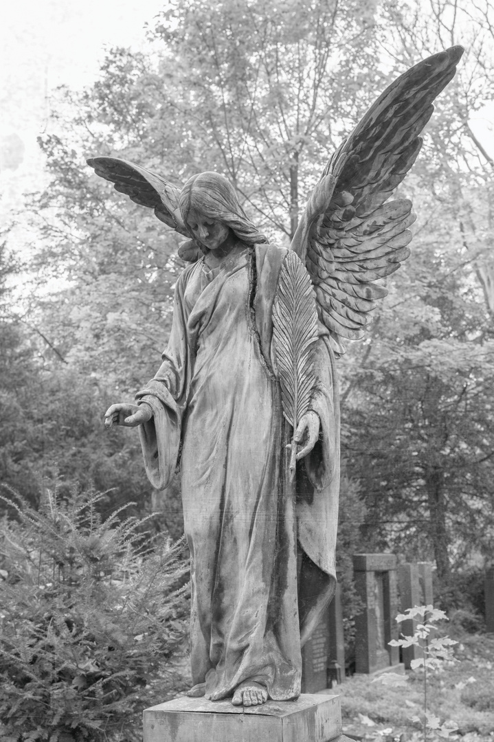 Engel Foto Bild Mystische Orte Specials Spezial Bilder Auf Fotocommunity