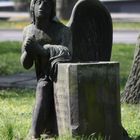 Engel Altstätdter Friedhof