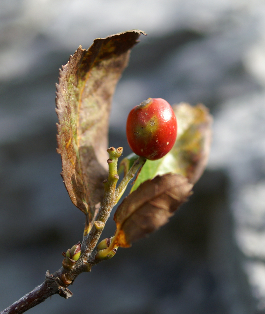 Engel am Wegrand