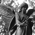 Engel auf dem Melaten-Friedhof