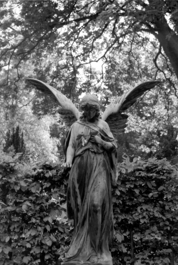 Engel auf Friedhof Engesohde, Hannover