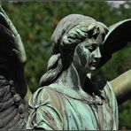 Engel auf Melatenfriedhof 4