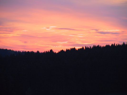Engel backen plätzchen