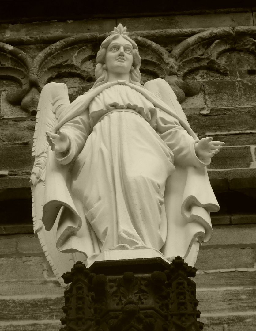 Engel der St.Marienkirche(Zwickauer Dom)