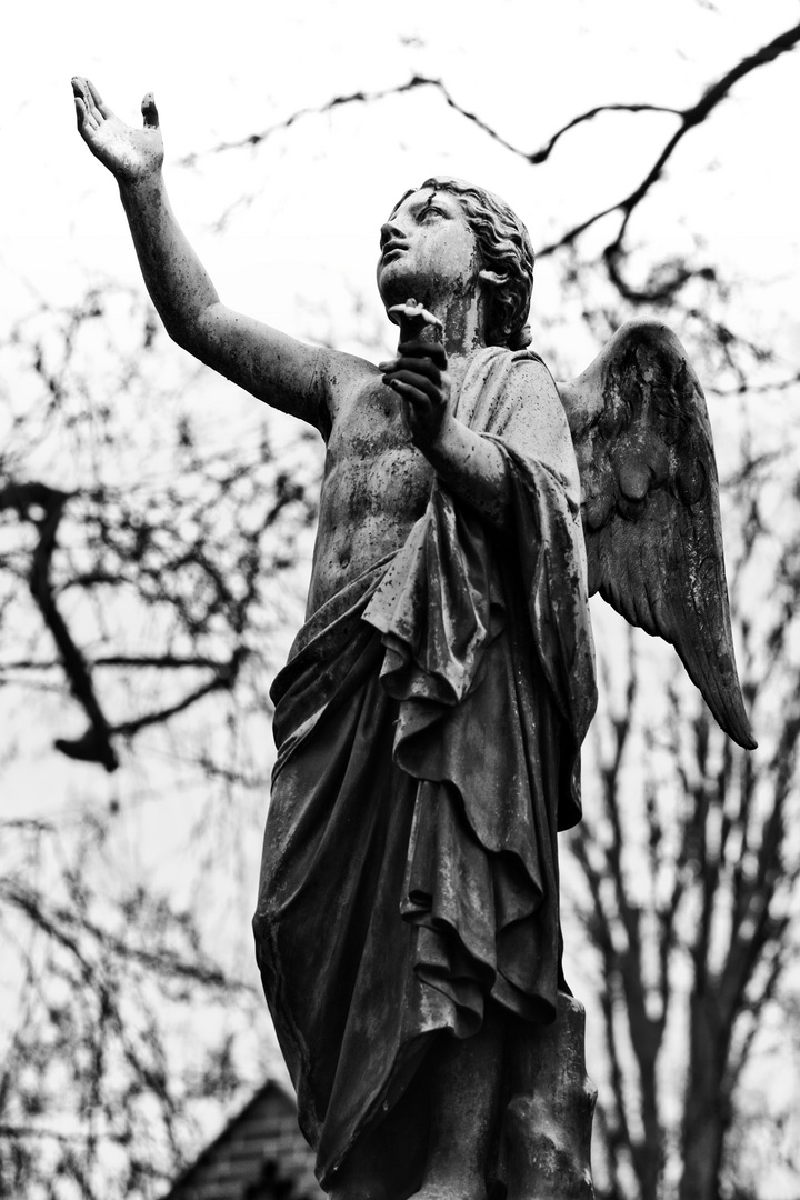 Engel - Detail, Dorotheenstädtischer Friedhof Berlin