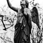 Engel - Detail, Dorotheenstädtischer Friedhof Berlin