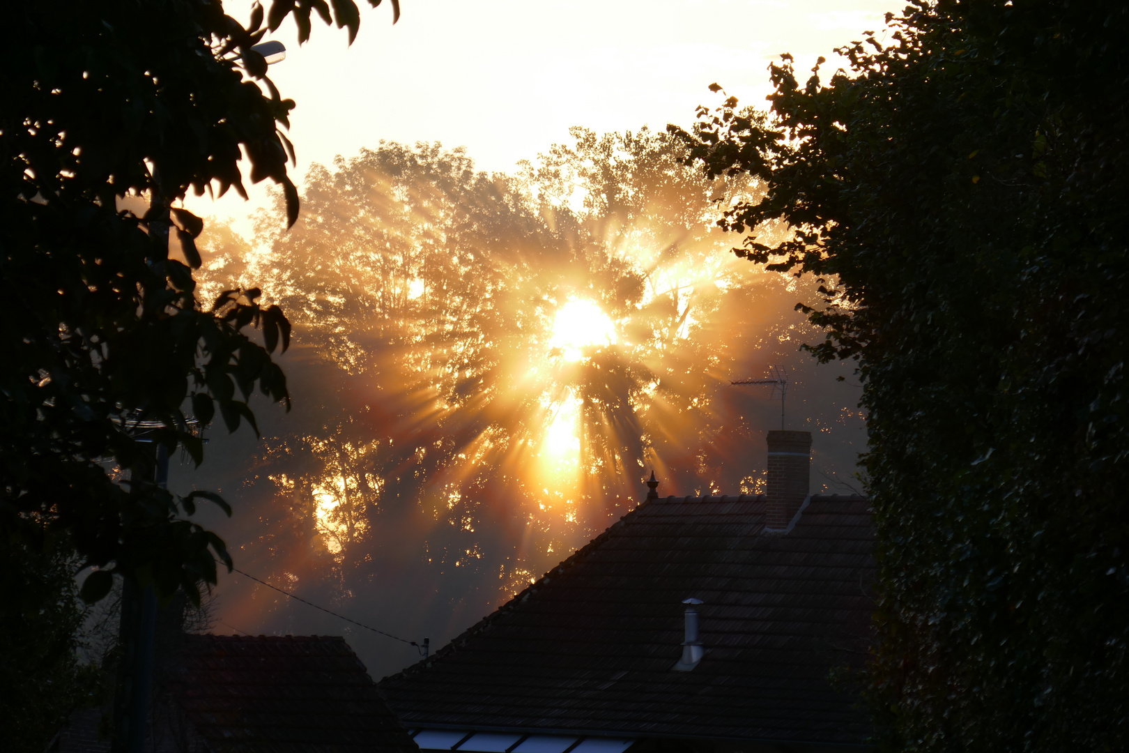 Engel im Baum Nahe