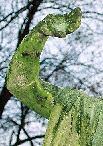 Engel im Detail