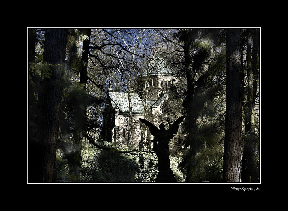 Engel im Wald