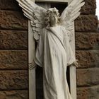Engel in Florenz