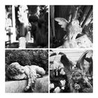 –– Engel - Kitsch - Collage ––