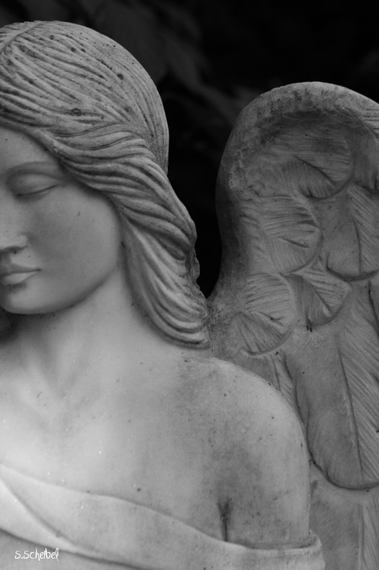 Engel Lass Die Zeit Still Stehn Foto Bild Trauer Trauer Ein Gefuhl In Bildern Engel Bilder Auf Fotocommunity