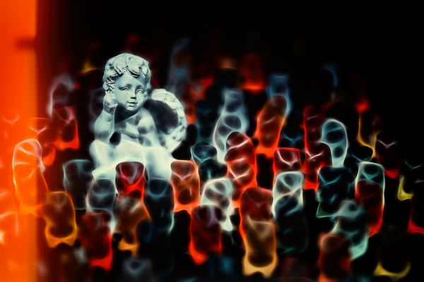 Engel träumen auch .....