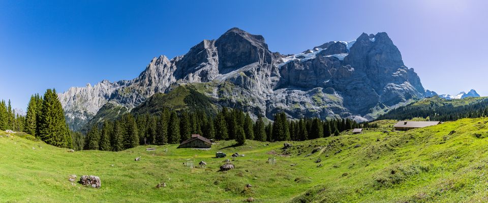 Engelhörner, Wellhörner und Scheideggwetterhorn...