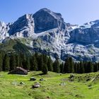 Engelhörner, Wellhorn und Wetterhorn