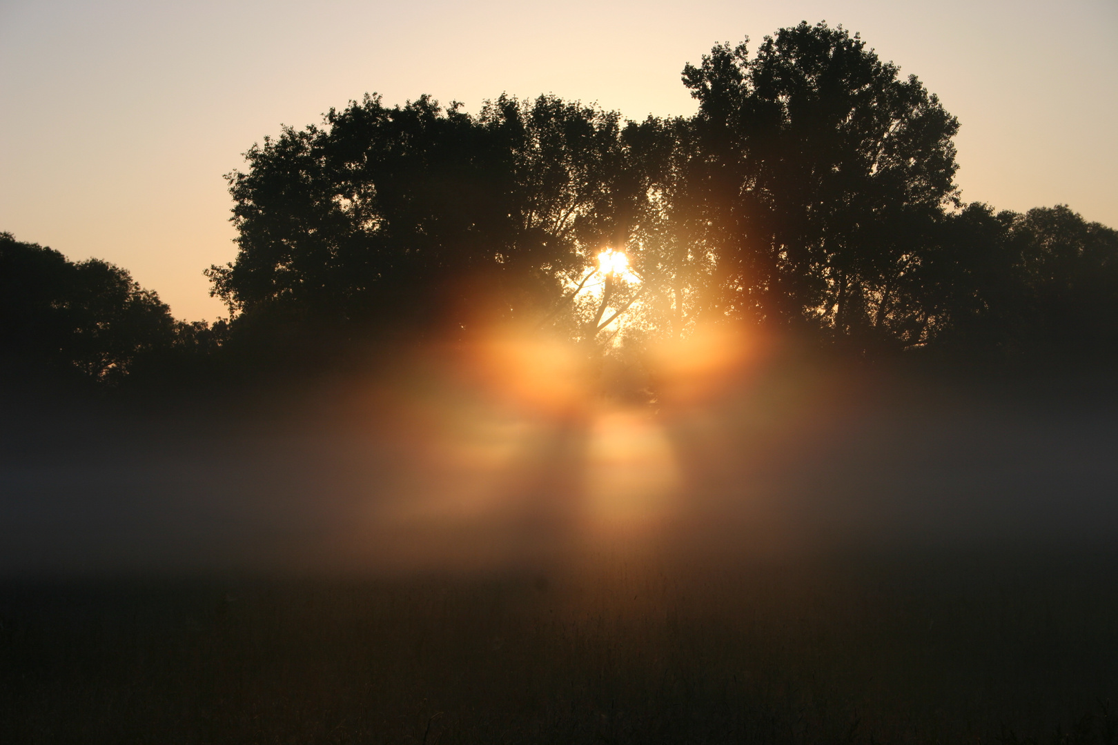 Engelserscheinung im Nebel (?!?)