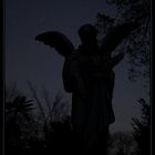 Engelwesen bei Nacht 1
