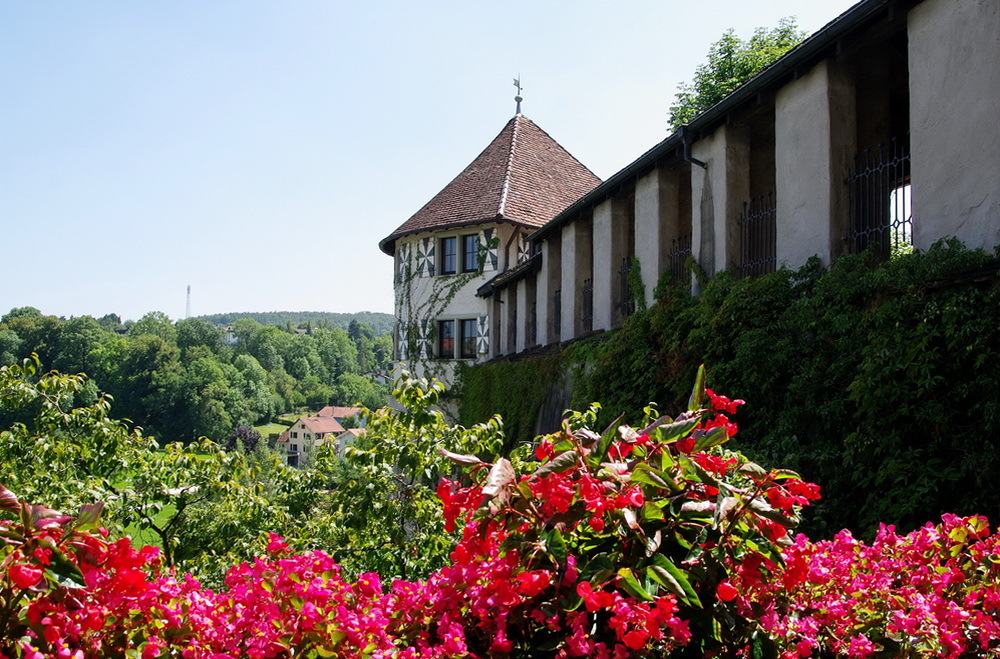 Engen im Hegau