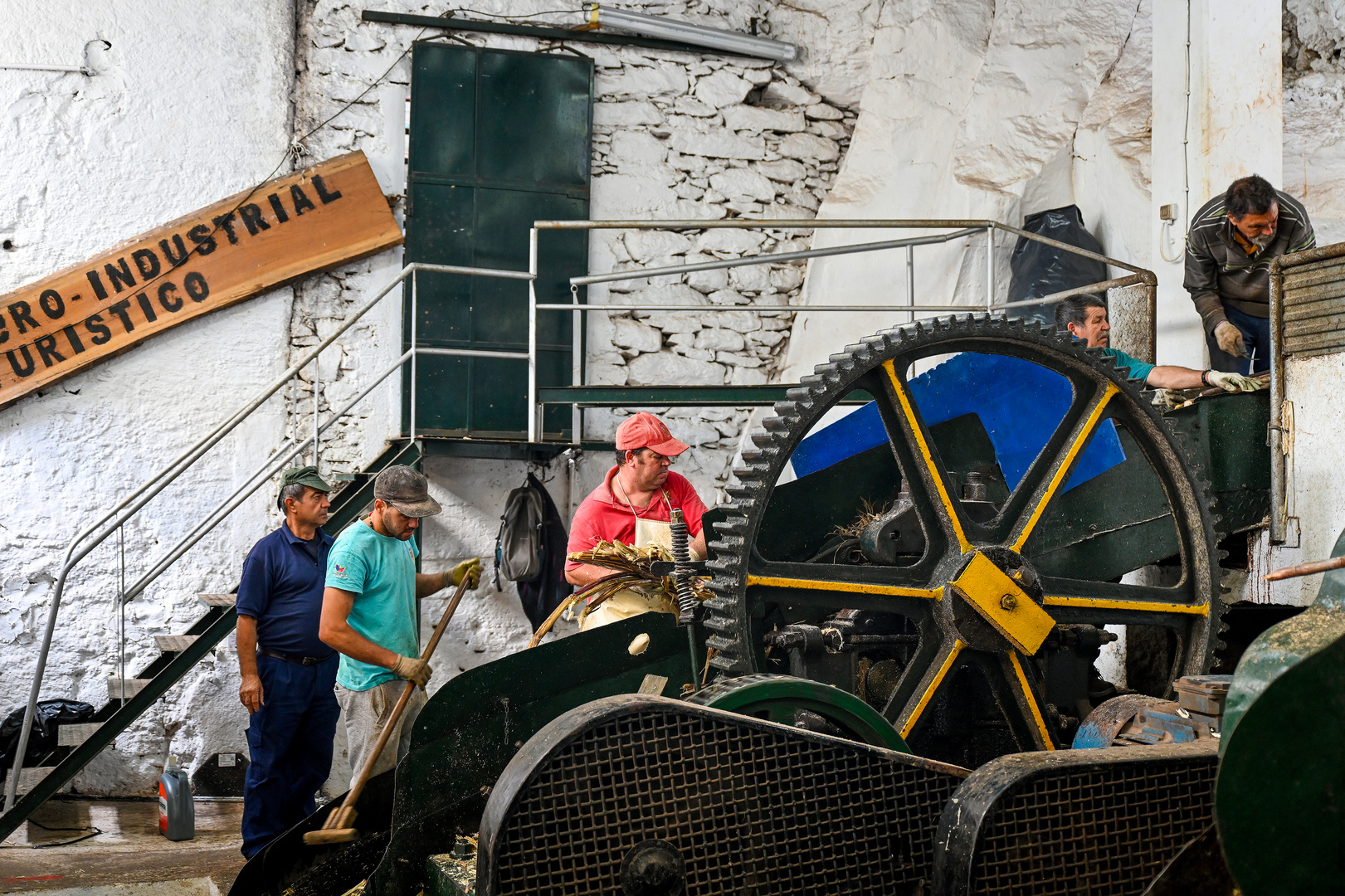 Engenhos da Calheta 04