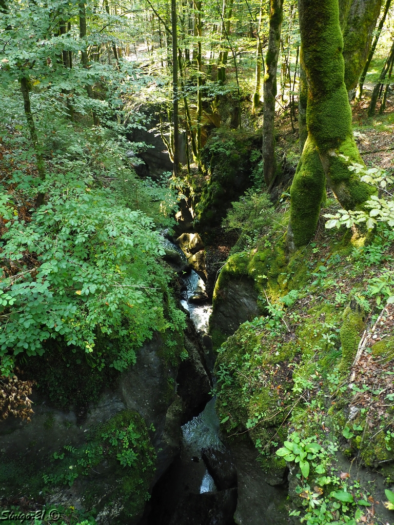 Enger Flussweg im Mostnica-Schlucht