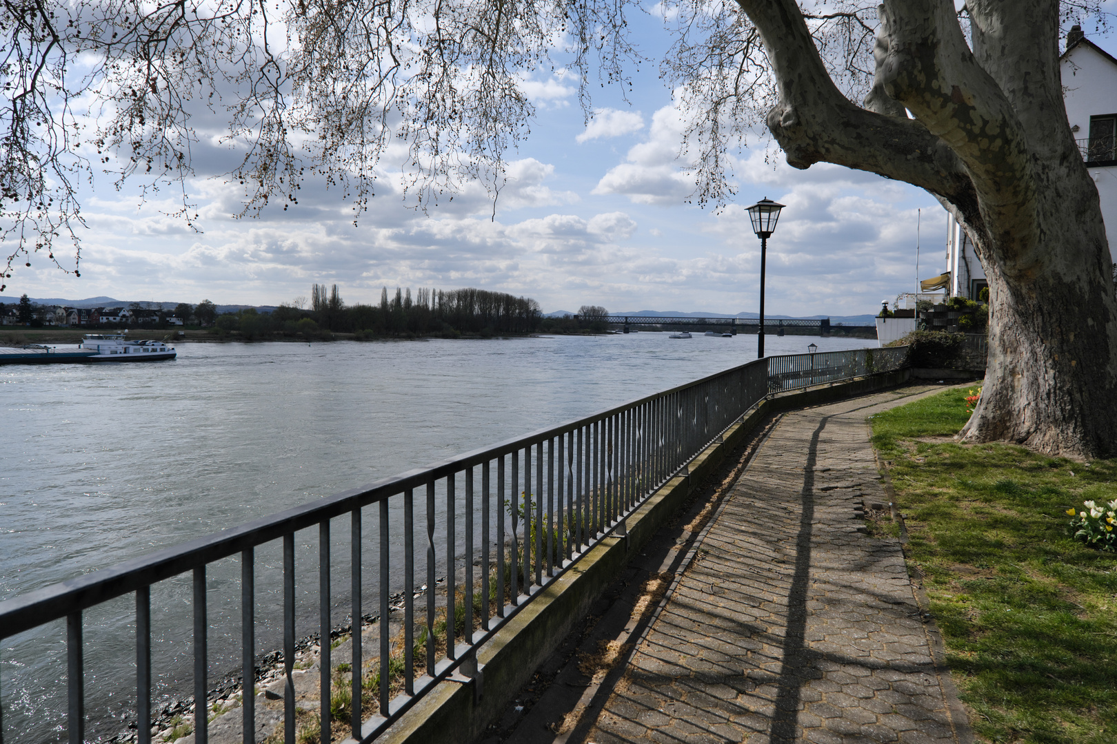 Engers am Rhein (1)