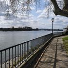 Engers am Rhein (1)