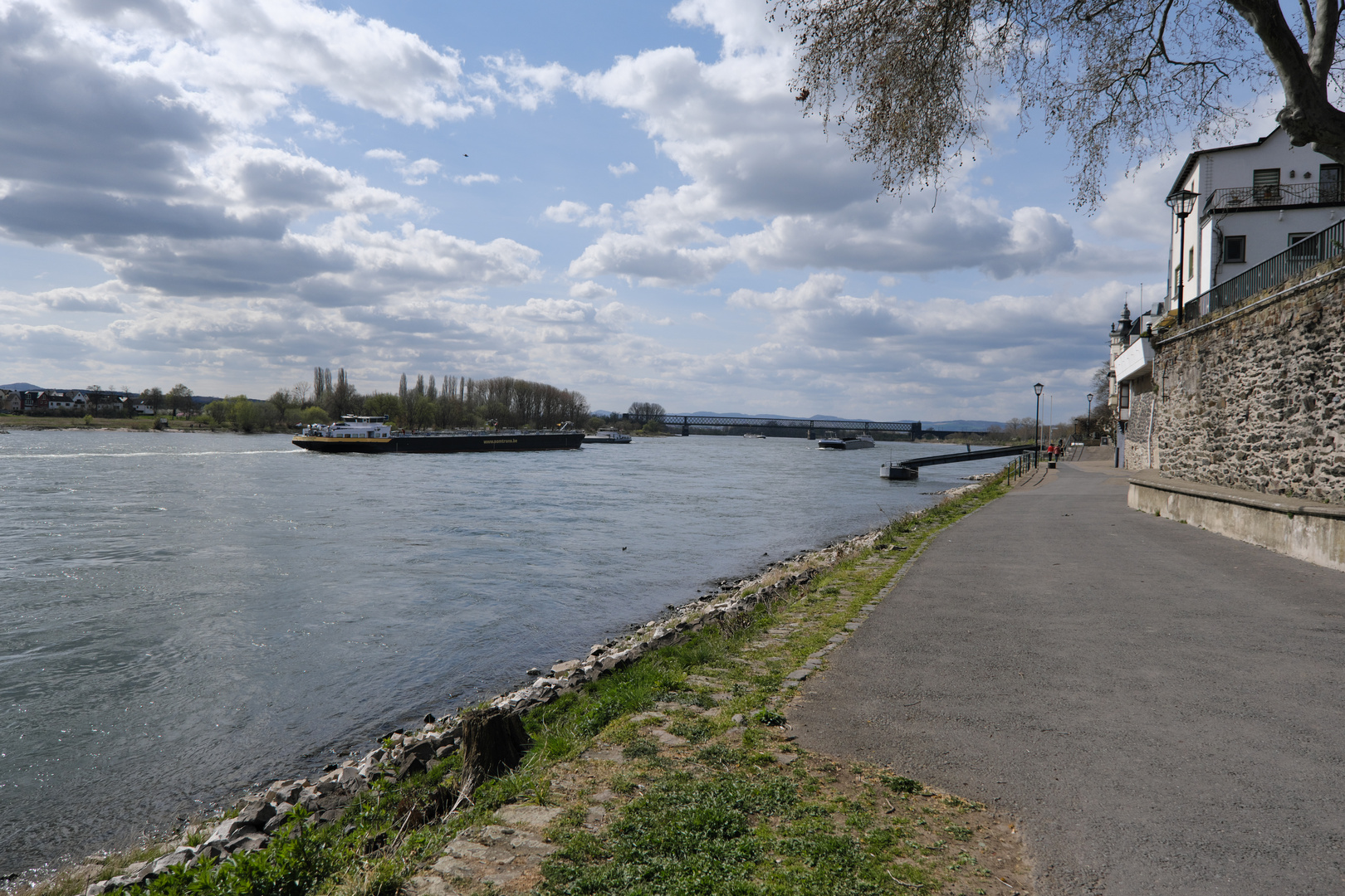 Engers am Rhein (2)