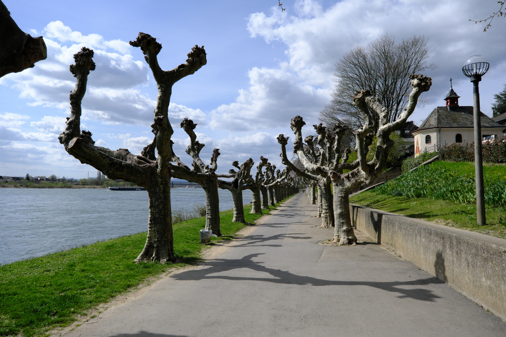 Engers am Rhein (3)