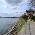 Engers am Rhein (4)