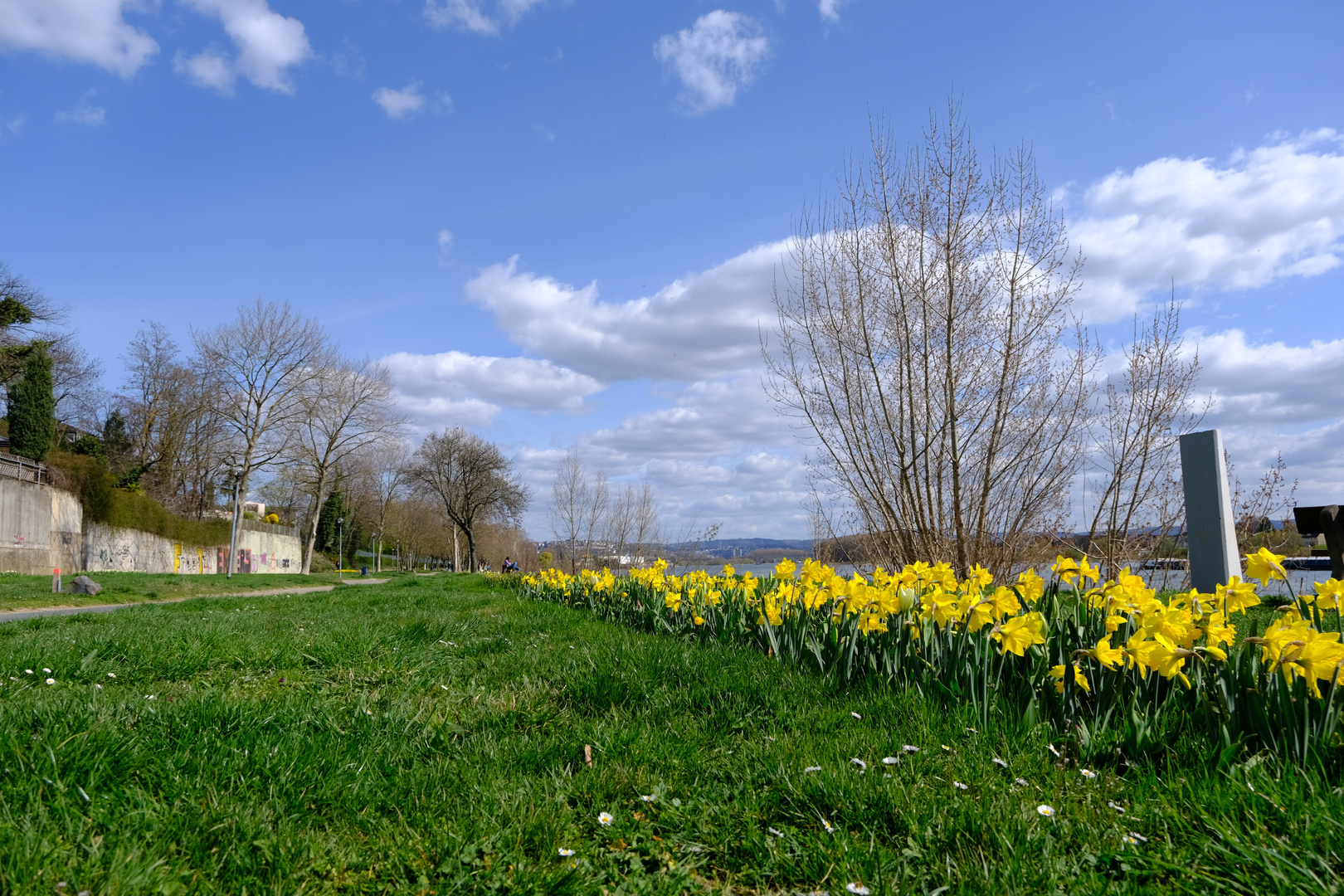 Engers am Rhein (5)