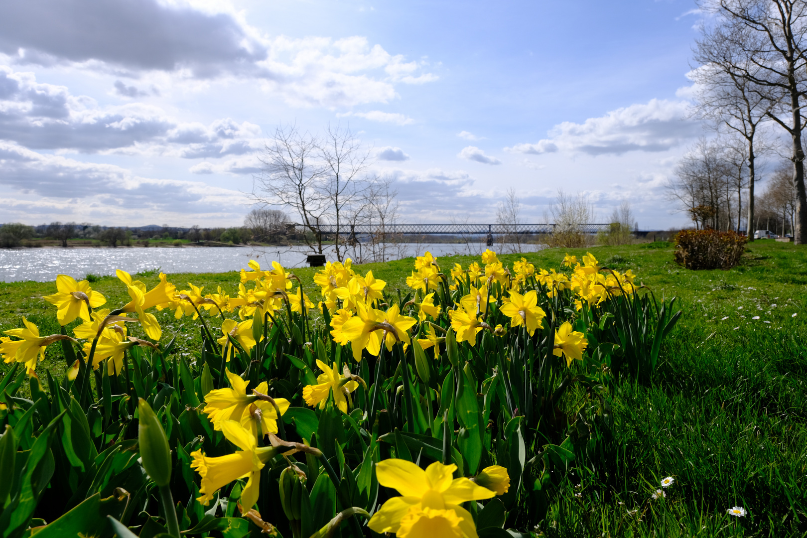 Engers am Rhein (6)