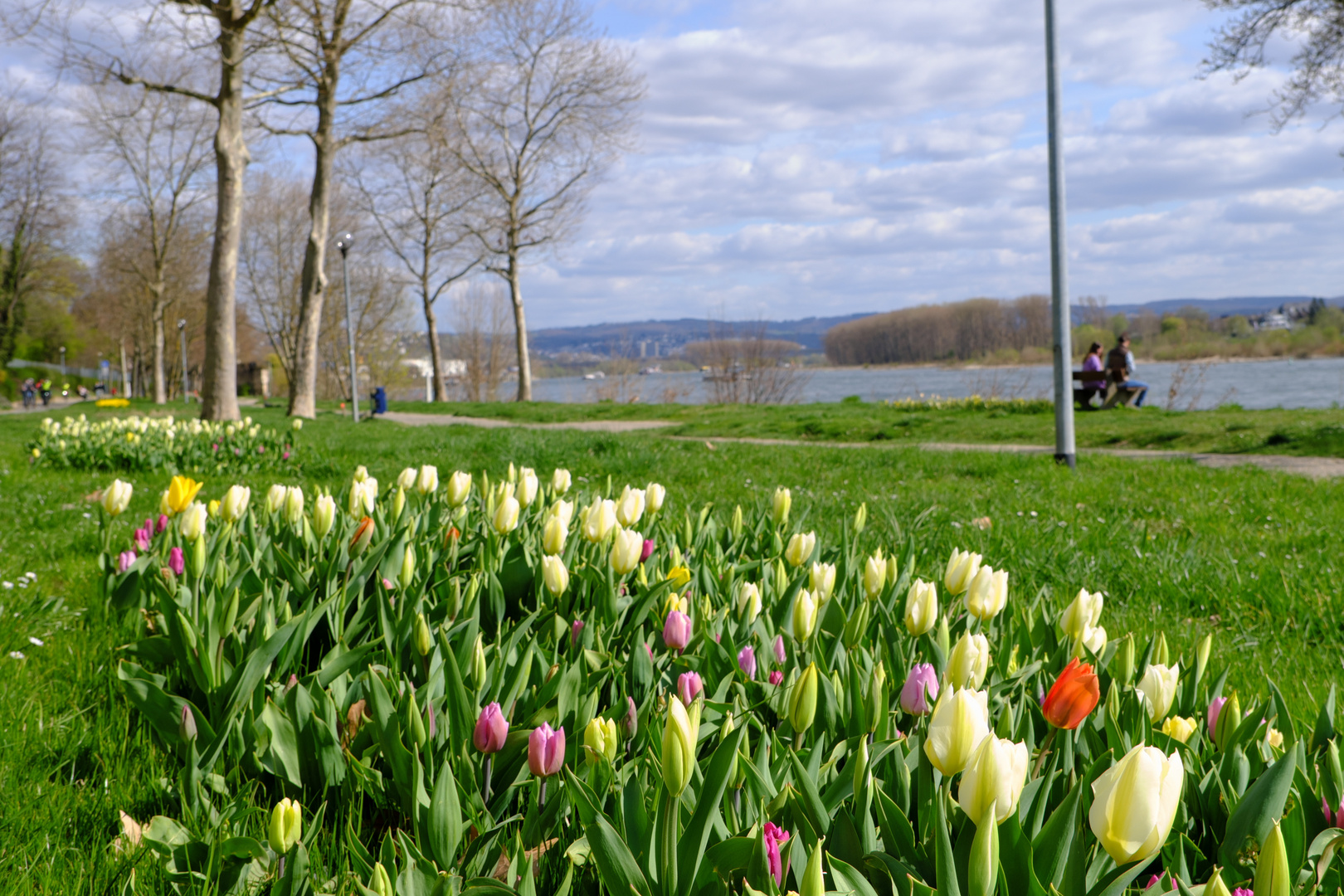 Engers am Rhein (7)