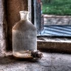 Enghals-Standflasche am Fenster