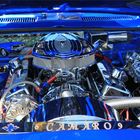 Engine bay dress up