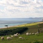 England 04 - Abbotsbury