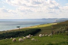 England 04 - Abbotsbury