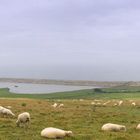 England 22 - Abbotsbury Pano