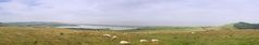 England 22 - Abbotsbury Pano