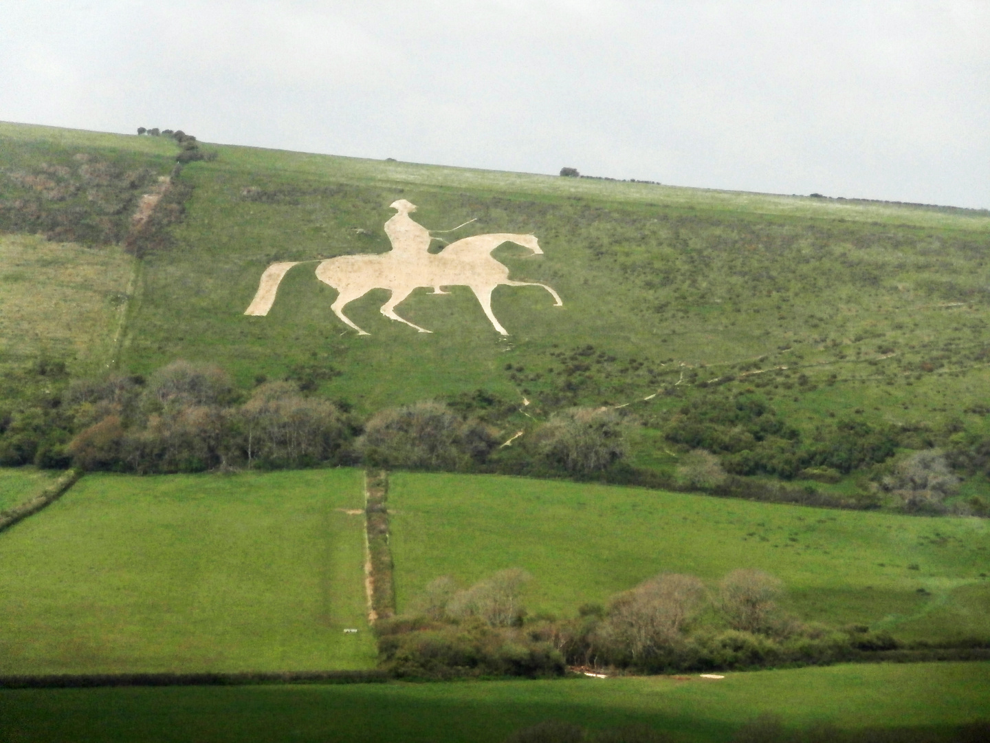 England_Westbury White Horse